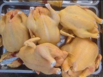 Куры бройлеры домашние