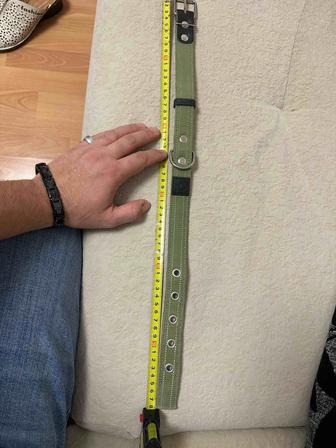 Ошейник для собаки