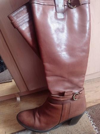 Обувь сапоги