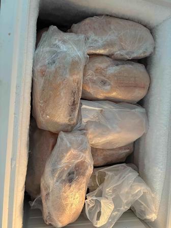 Домашнее мясо гусей