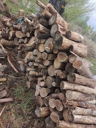 Дрова карагач