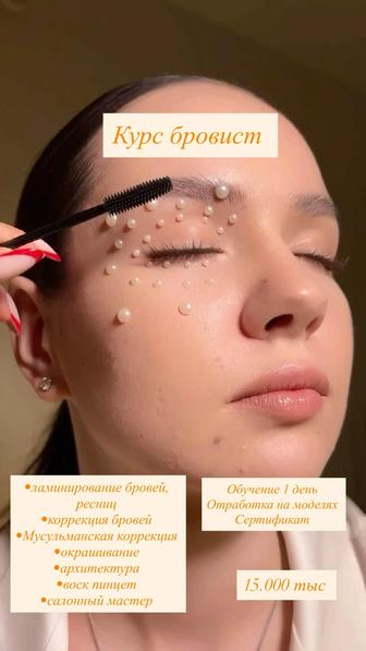 Курс бровиста