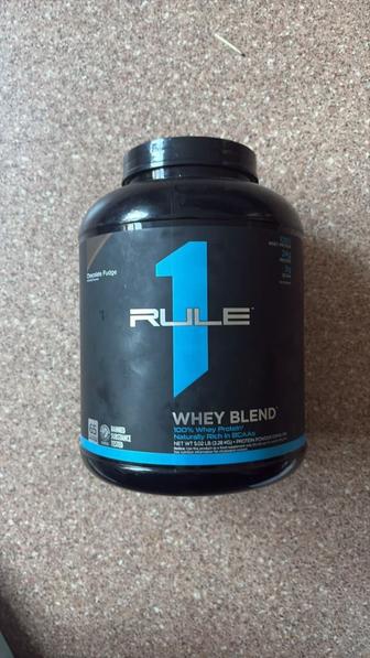 rule1 protein протейн рул 1
