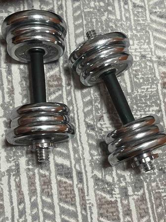 Гантели по 10кг 2шт