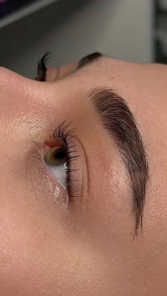 Ламинирование ресниц и бровей профессионально ! Шок-Цена! Пришахтинск !!!