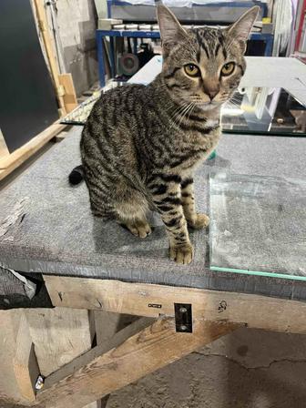 Ремонт пластиковых окон