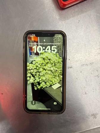 iphone 15 pro в корпусе хр