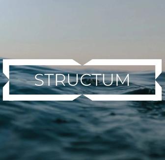 Бизнес IT решения, цифровизация бизнеса и аудит бизнес-процессов STRUCTUM