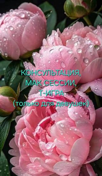 Онлайн Психолог, Консультация, т-игра, мак сессии (для девушек)