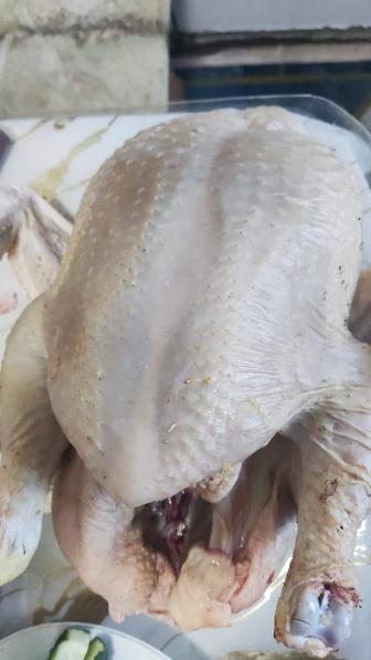 Мясо курей бройлеров