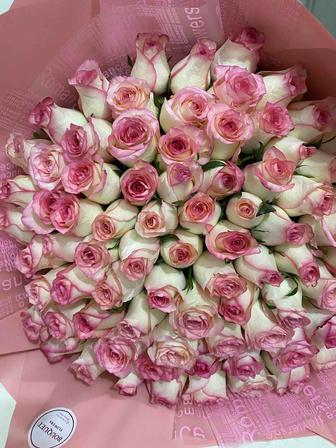 цветы 101 роза