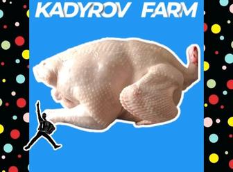 Сочная индейка на заказ свежесть и качество