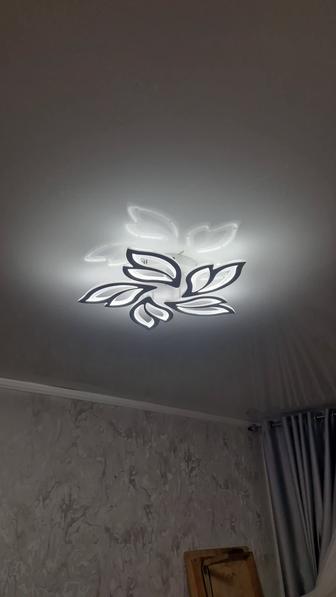 Установка люстр,светильники,бра!!!