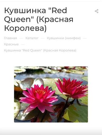 Для сада