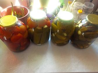 Продам соленья помидоры, огурцы, ассорти