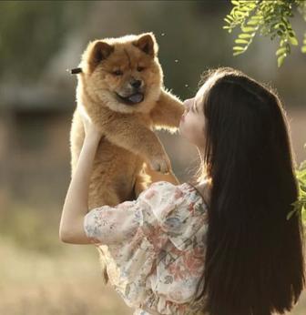 Фотограф Дрон Видеоограф