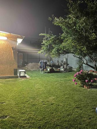 Посев газона