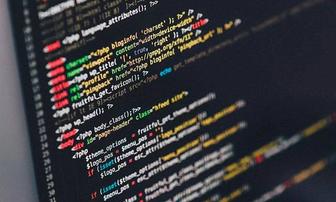 Программист разработчик