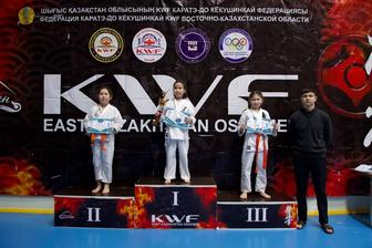 Секция каратэ