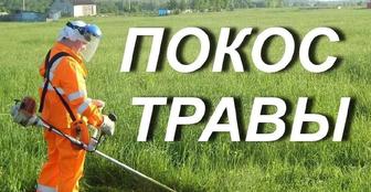 Покос скос травы