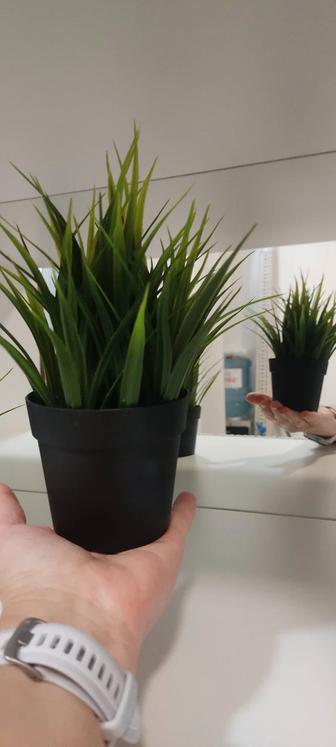 Искусственное растения Икеа (фейка)