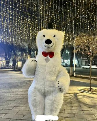 Мишка Умка на поздравления акция аниматор