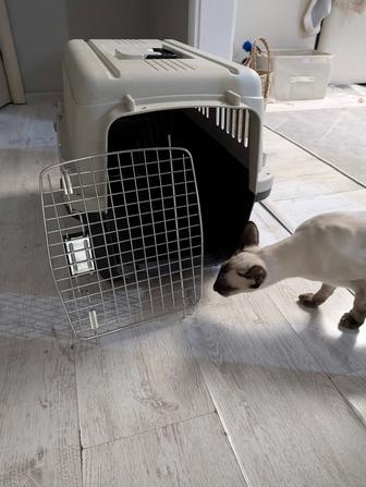 Переноска для животных