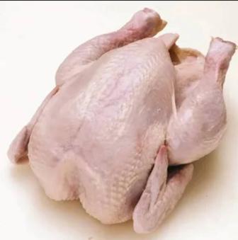 Продам мясо домашних бройлеров