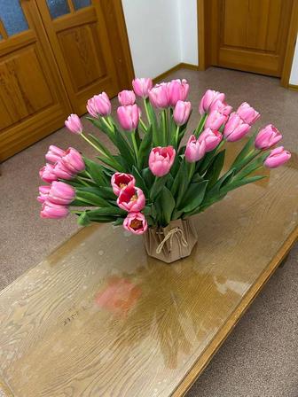 Букет свежих розовых тюльпанов 35 штук. Шаляпина