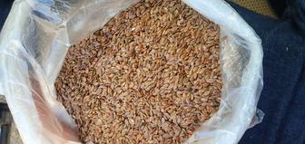 Продам коричневый лен без пестицидов