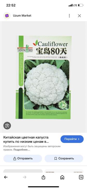 Капуста цветная рассада