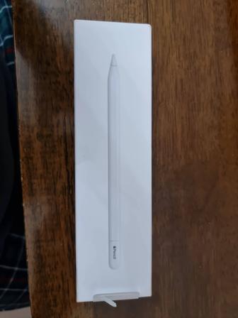 Apple pencil(usb-c)