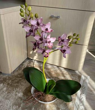 Искусственные орхидеи латекс интерьерные