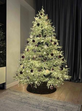 Ёлки, г.Астана