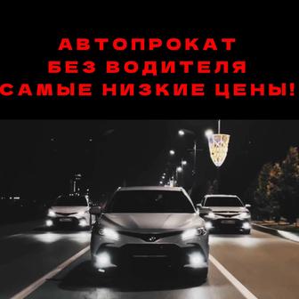 Прокат авто, Прокат машины, Прокат авто без водителя