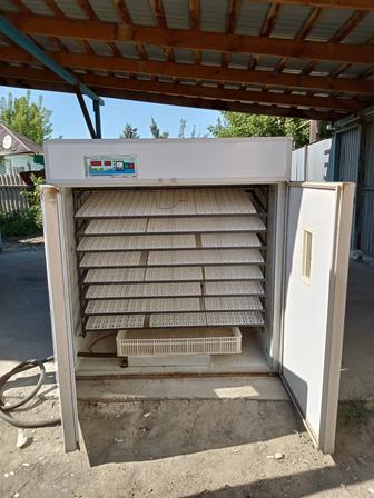 Инкубатор для яиц с автоматическим переворотом Несушка на 2256 яйца курины