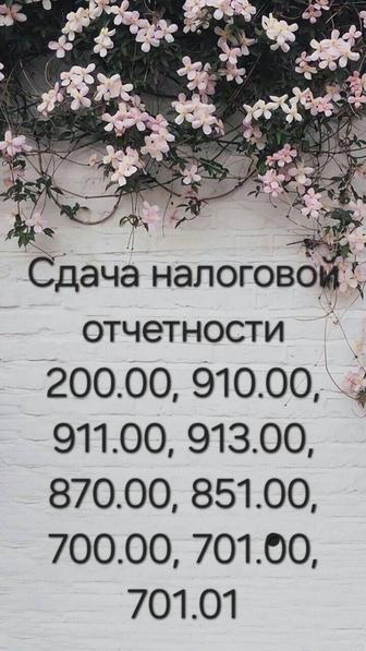 Сдача налоговой отчётности