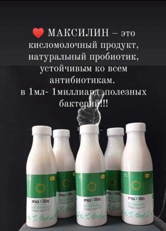 Пробиотик