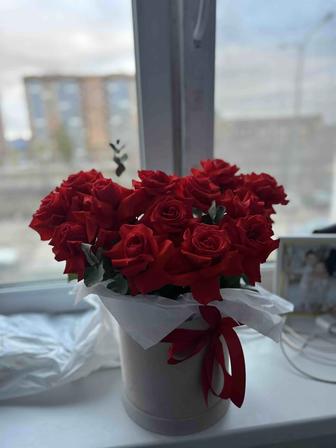 Цветы розы красные