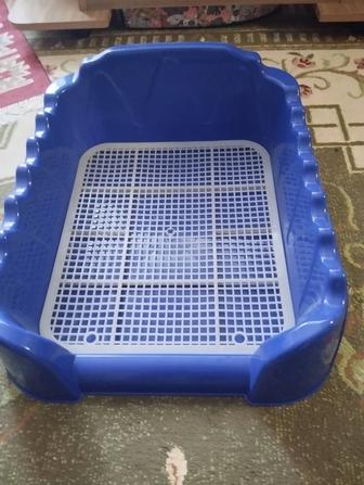 Лоток - туалет для собак.