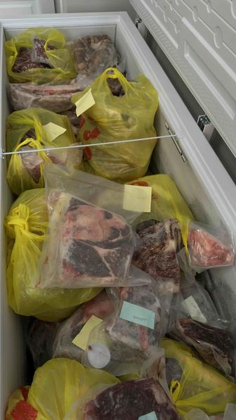 Продам мясо конины