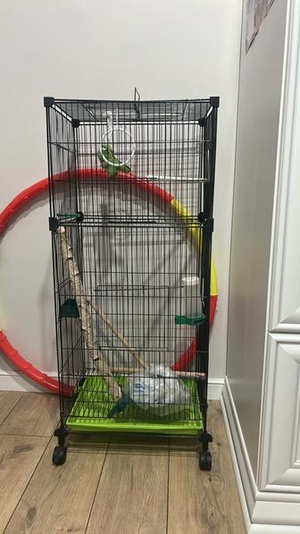 клетка для попугаев