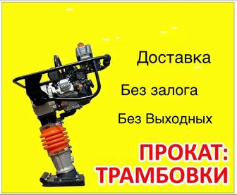 Аренда вибротрамбовки кузнечика