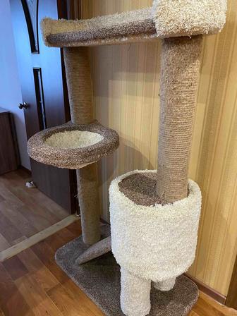 Комплекс для кошек