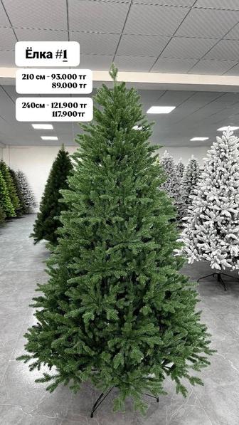Ёлки в продаже