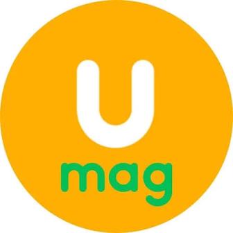 Ревизия умаг