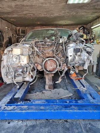 Услуги костоправа