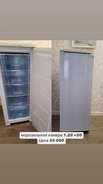 продаю морозильную камеру