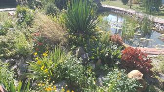 Услуги садовника