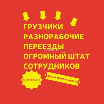 Услуги грузчиков и разнорабочих Павлодар